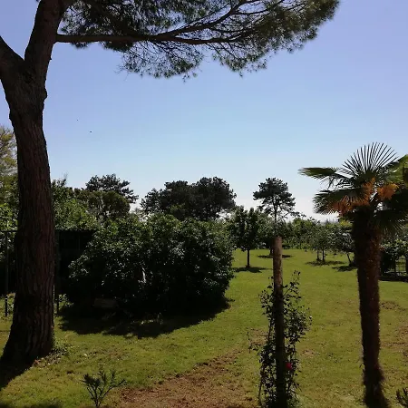 Moela Appartement *